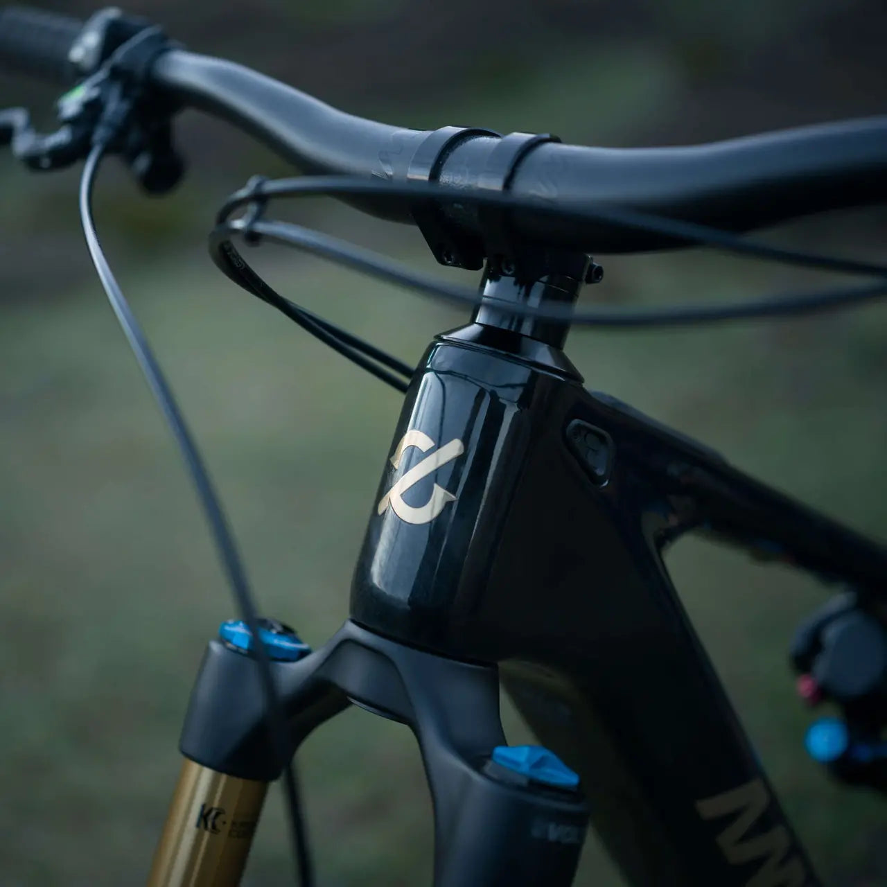 Amflow PL Carbon Electric Bike 9