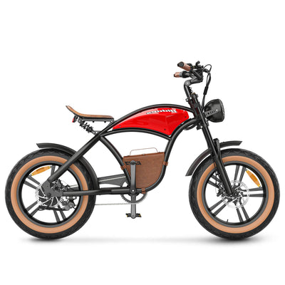 Hidoes B10 Fat Tire Electric Bike