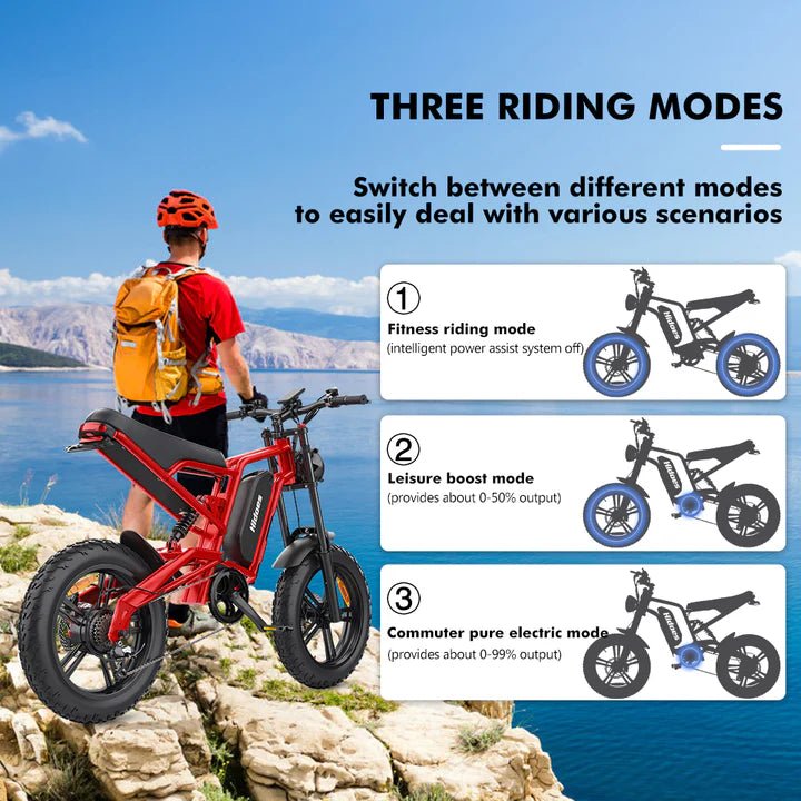 Hidoes B6 20" Fat Tyre Electric Electric Bike 700W 48V 15.6AH