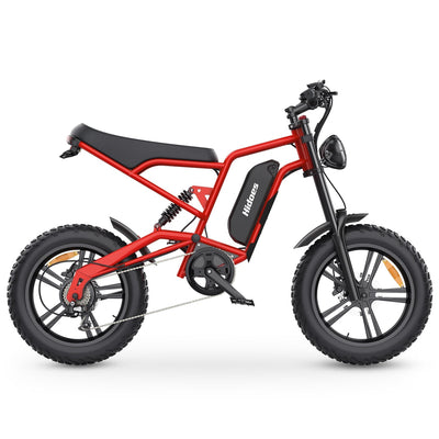 Hidoes B6 20" Fat Tyre Electric Electric Bike 700W 48V 15.6AH