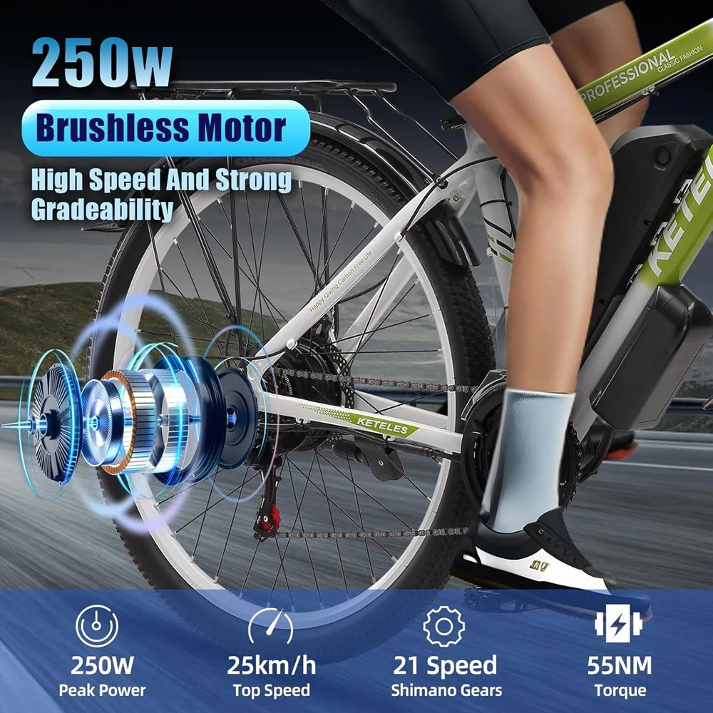 KETELES K820 Pro Electric Bike 250W 48V 17.5AH 7