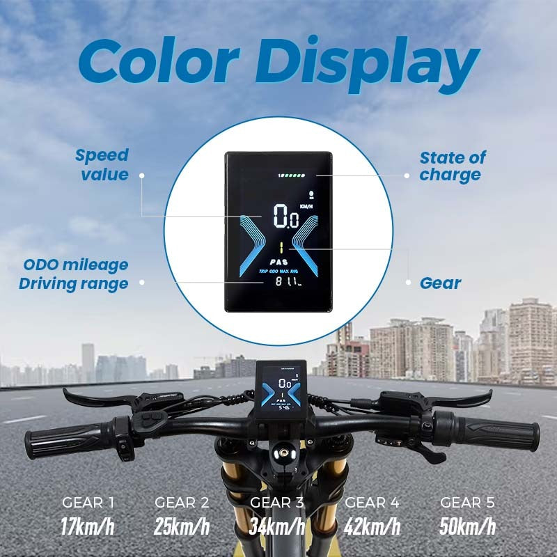 Chamrider DH420 Electric Bike 7