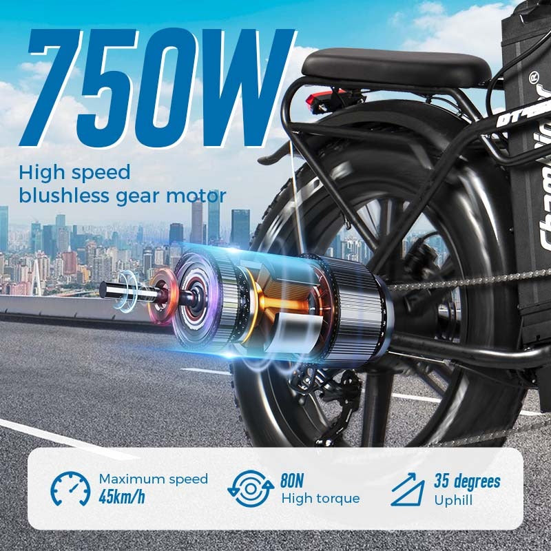 Chamrider DT450 Electric Bike 6