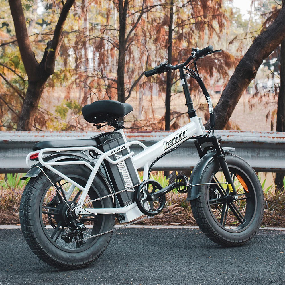 Chamrider DTS425 Electric Bike 11