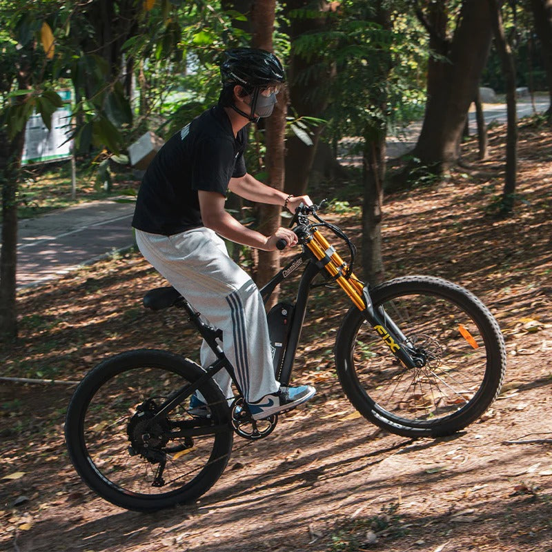 Chamrider DH420 Electric Bike 4