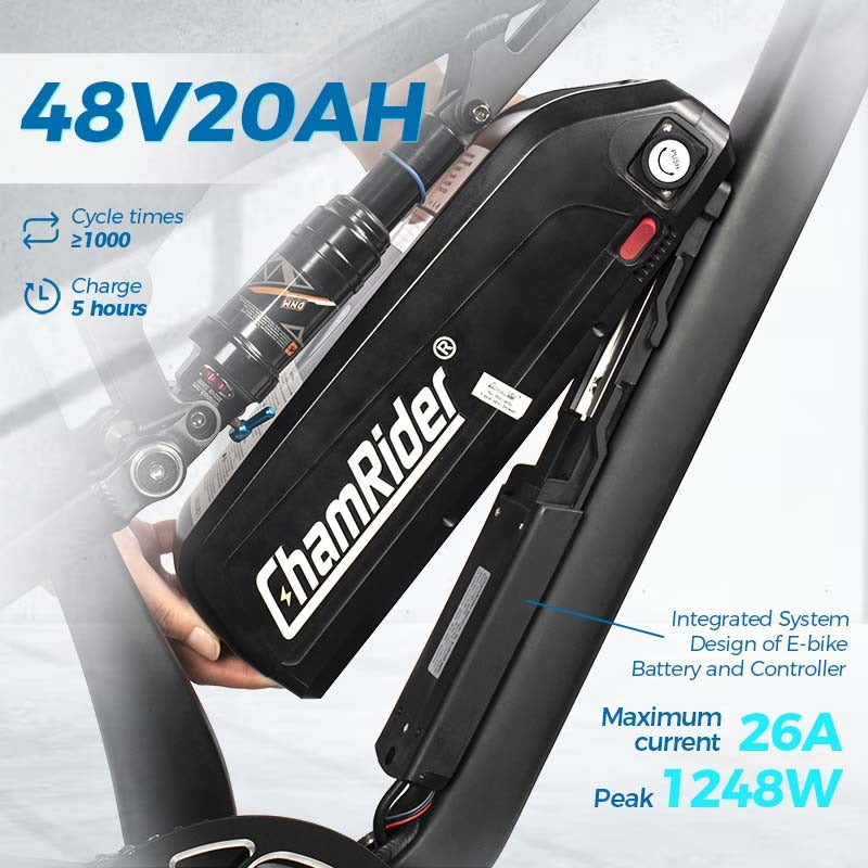 Chamrider DH420 Electric Bike 3