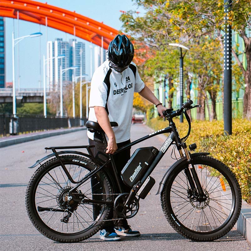 Chamrider DM427 Electric Bike 4