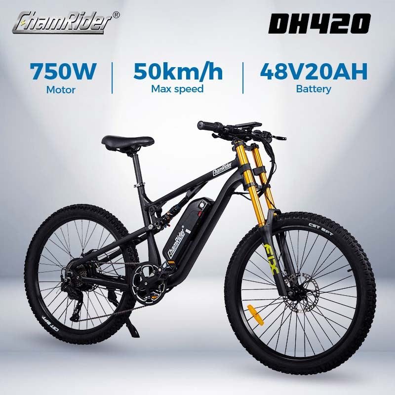 Chamrider DH420 Electric Bike 2