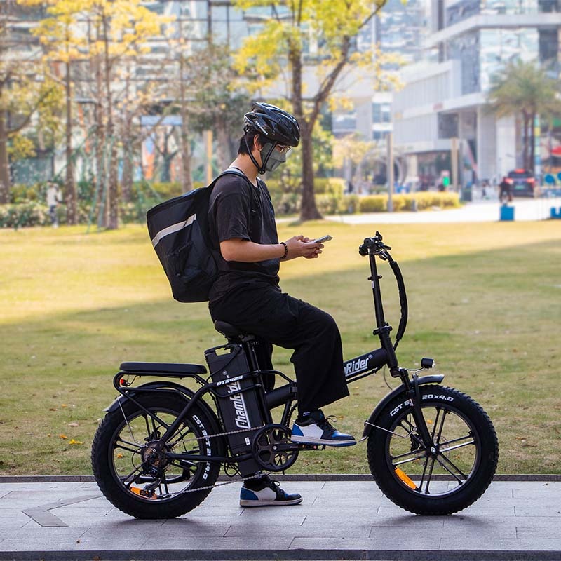 Chamrider DTS425 Electric Bike 9