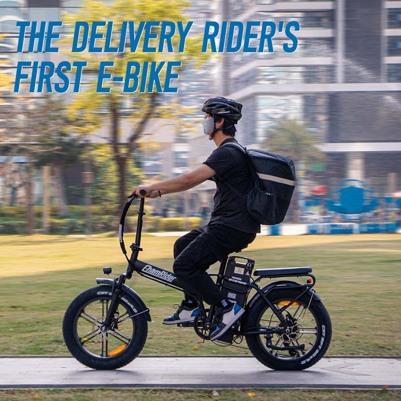 Chamrider DTS425 Electric Bike 10