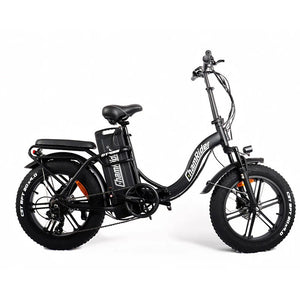 Chamrider DT450 Electric Bike