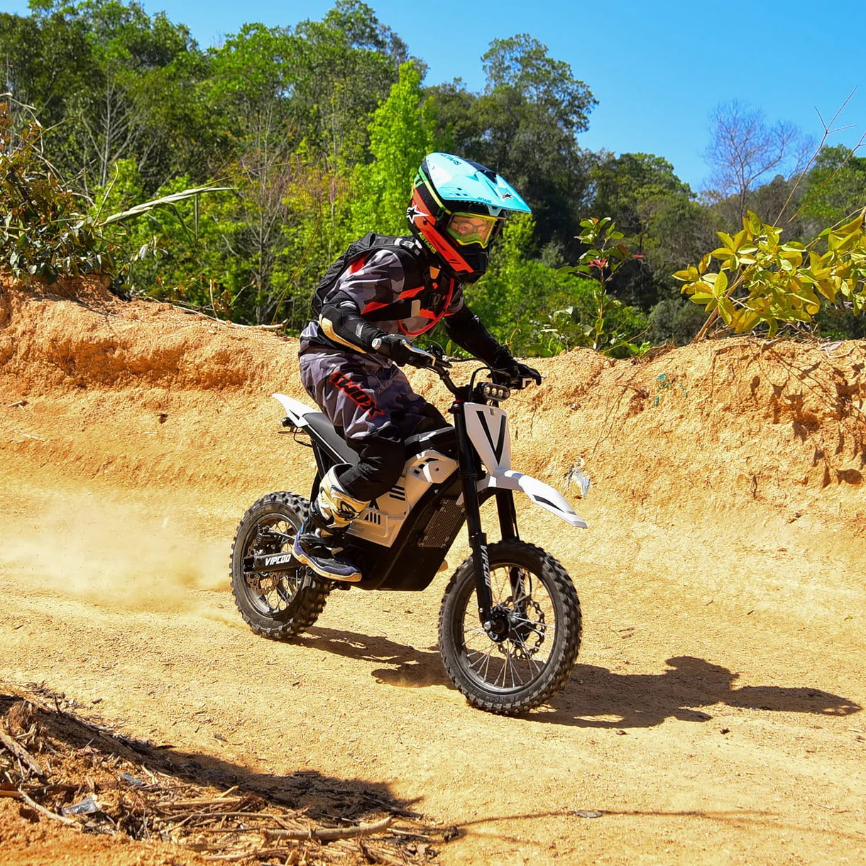 Vipcoo H2 Electric Dirt Bike 17