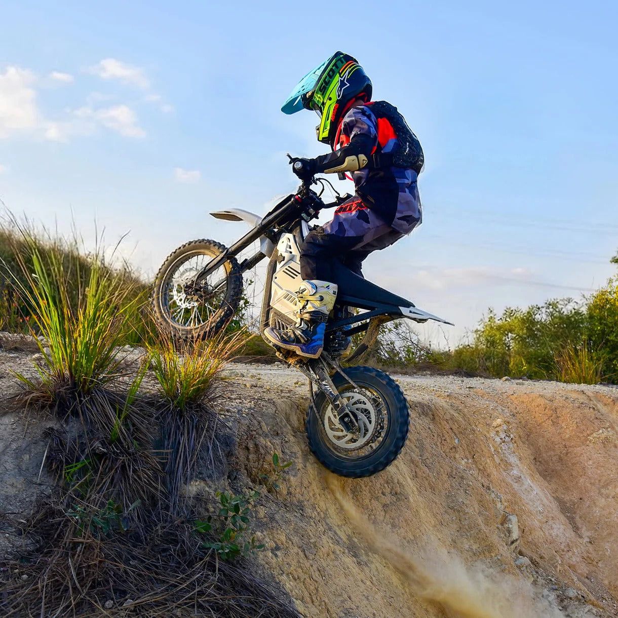 Vipcoo H2 Electric Dirt Bike 19