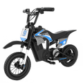 RCB R9X Pro Kids Electric Dirt Bike 350W 36V 5.2Ah