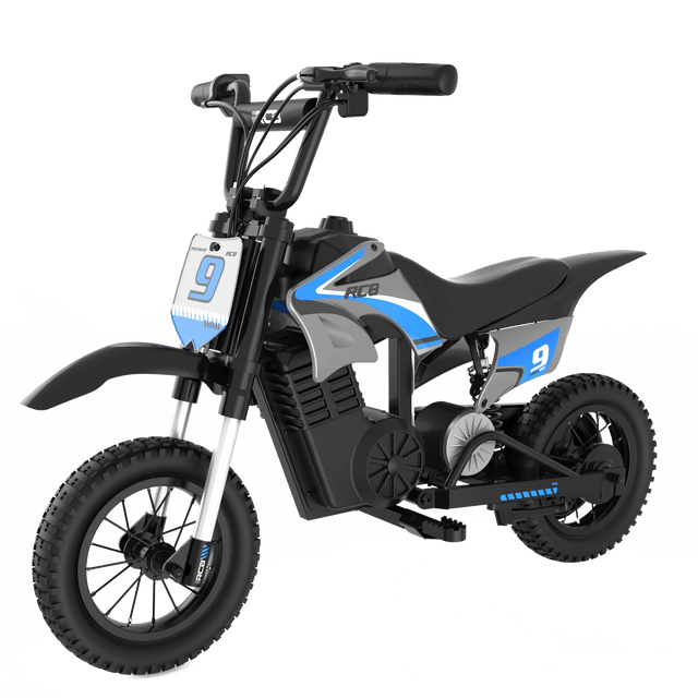 RCB R9X Pro Kids Electric Dirt Bike 350W 36V 5.2Ah