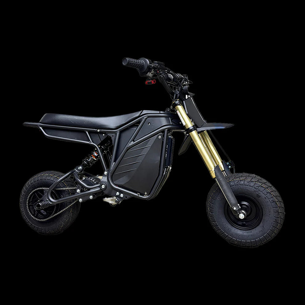 Electro & Co The Rizzler electric mini bike image 3