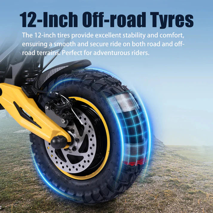 Twofish TW4 Pro Dual Motor Electric Scooter 3
