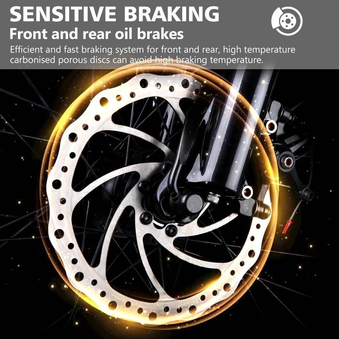 VIPCOO VM6 Electric Bike 250W 48V 18.2Ah 20 inch Fat Tire E-Bike Vipcoo