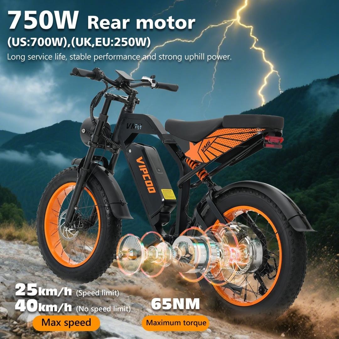 VIPCOO VM6 Electric Bike 250W 48V 18.2Ah 20 inch Fat Tire E-Bike 6