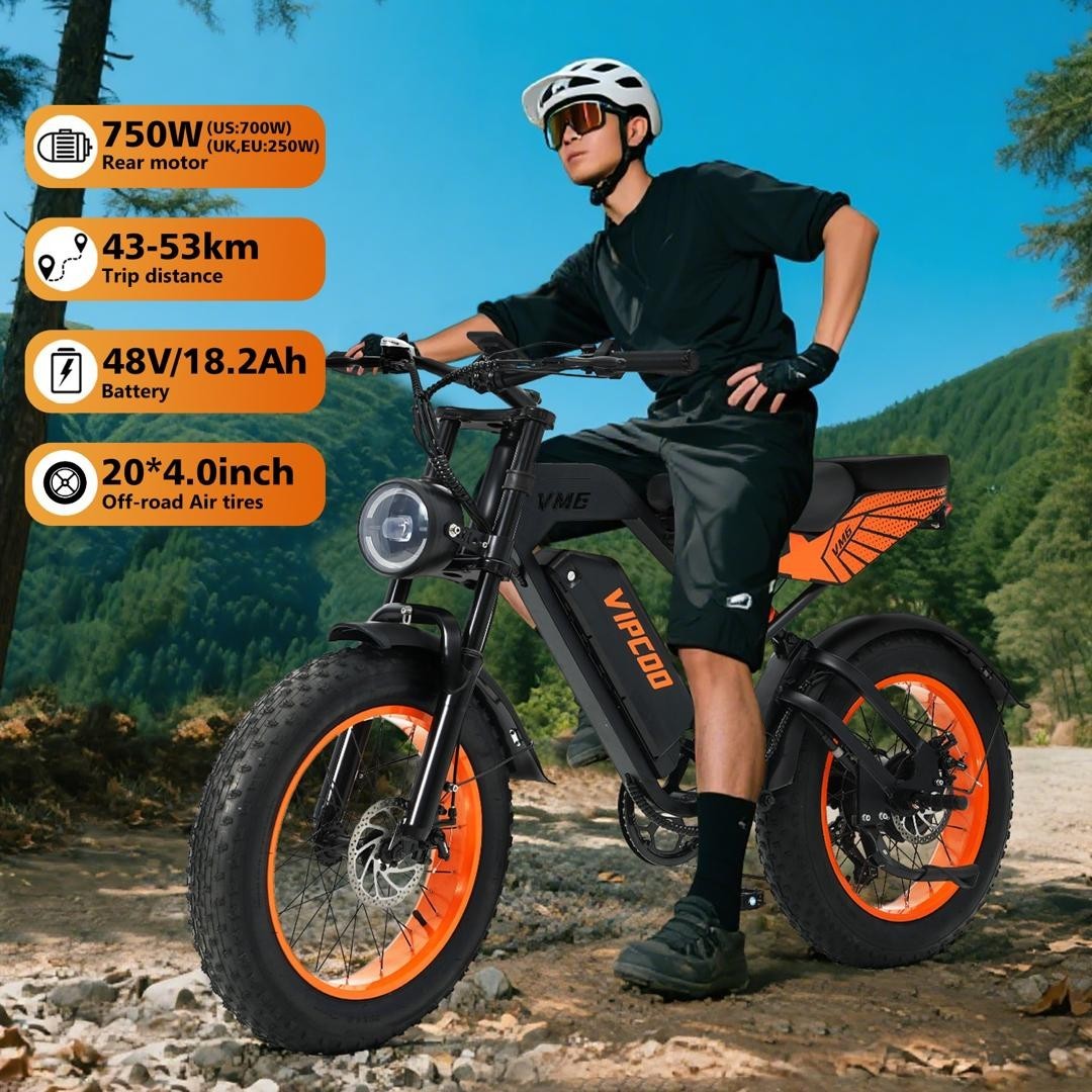 VIPCOO VM6 Electric Bike 250W 48V 18.2Ah 20 inch Fat Tire E-Bike 8