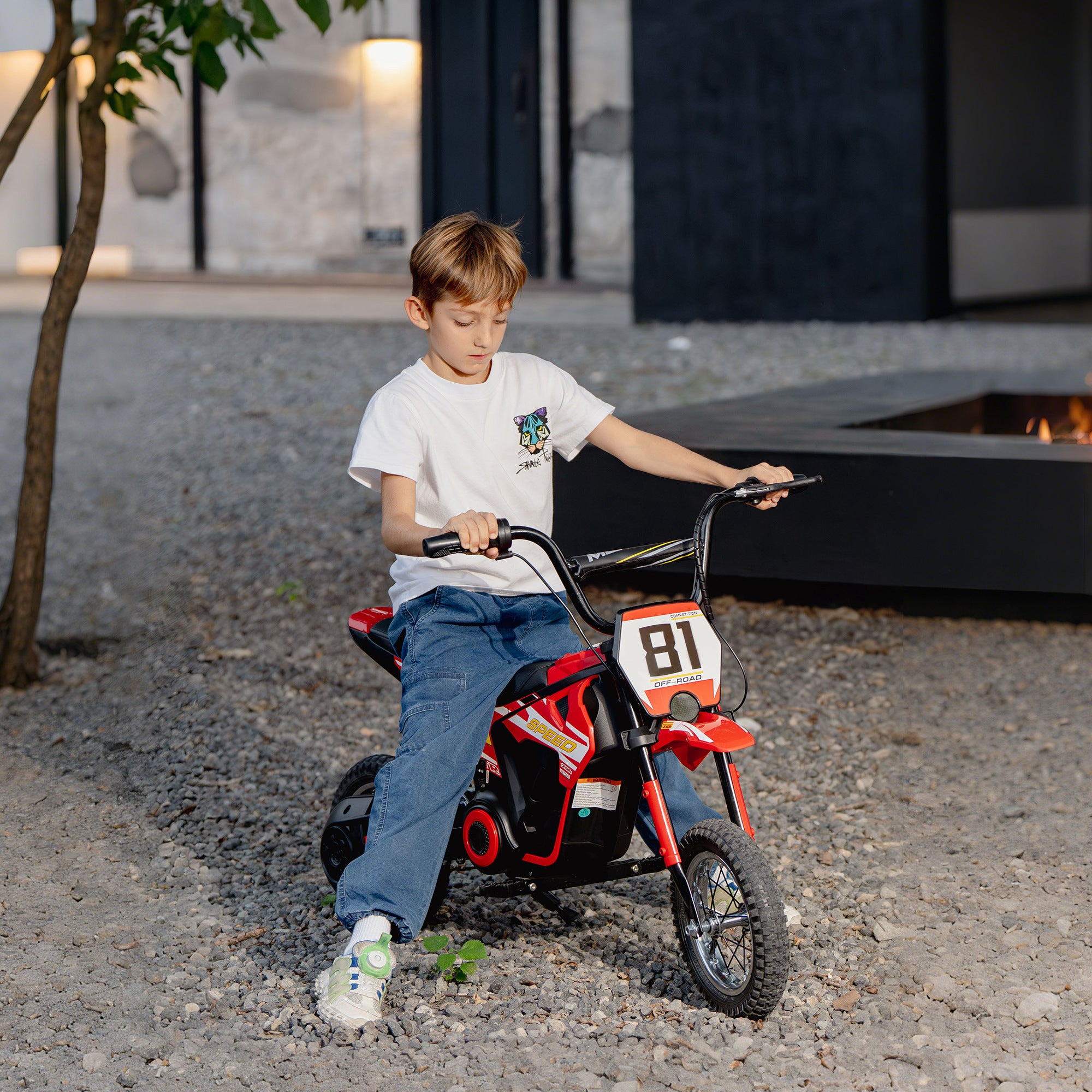 AIYAPLAY 24V Kids Electric Motorbike 5
