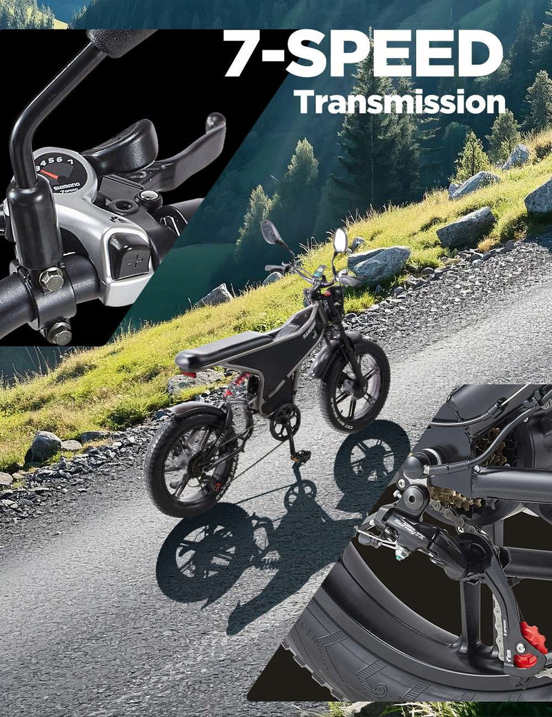 Randride DM711 Randride