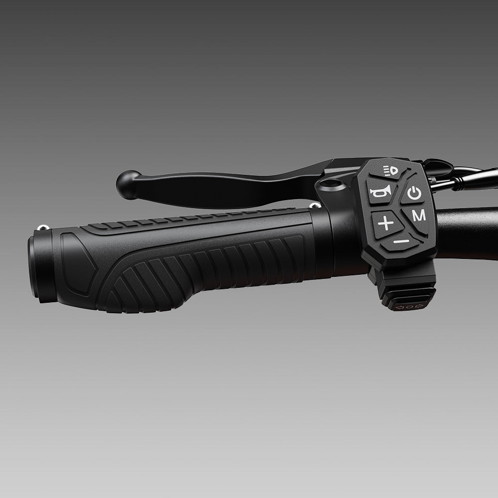 iScooter W12 3000W Ultimate All-Terrain Electric Scooter