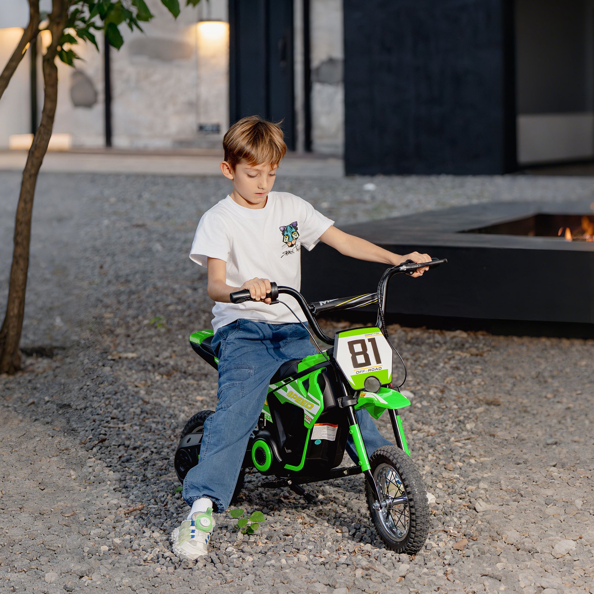 AIYAPLAY 24V Kids Electric Motorbike 2