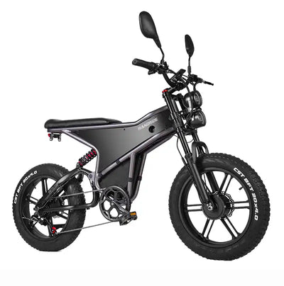 Randride DM711 Electric Bike