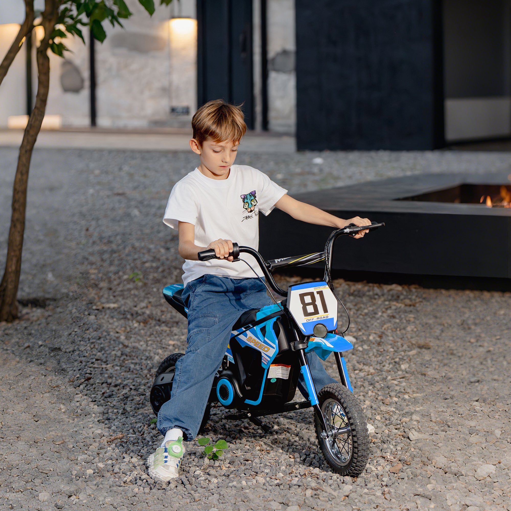 AIYAPLAY 24V Kids Electric Motorbike 8